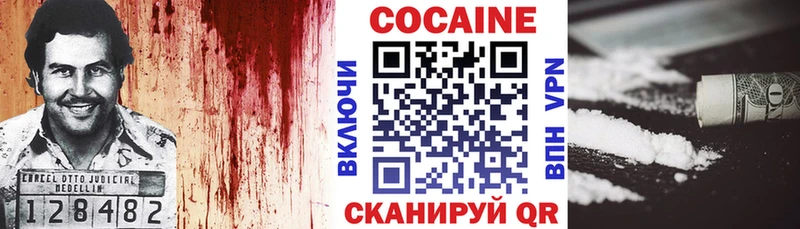 Купить где  Закаменск  COCAIN FishScale 