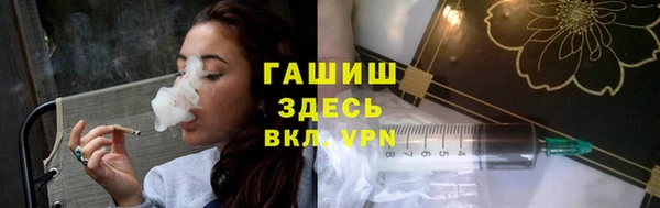 гидра Надым