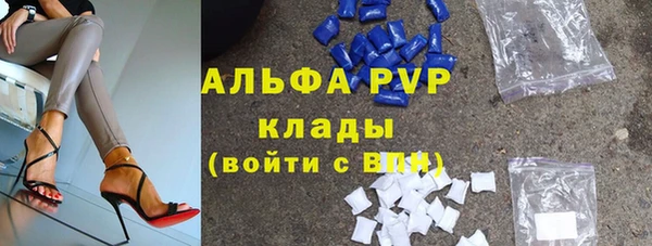 гидра Надым