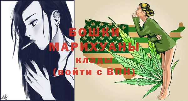 гидра Надым
