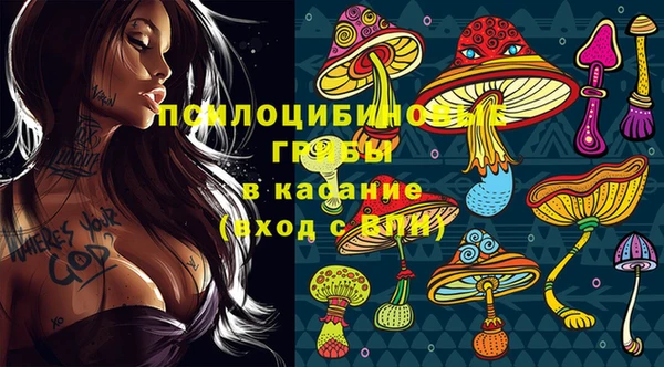 альфа пвп Алексеевка