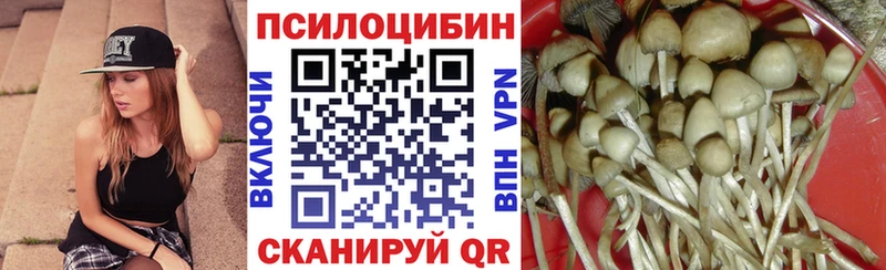 Купить  Закаменск  Галлюциногенные грибы Psilocybine cubensis 