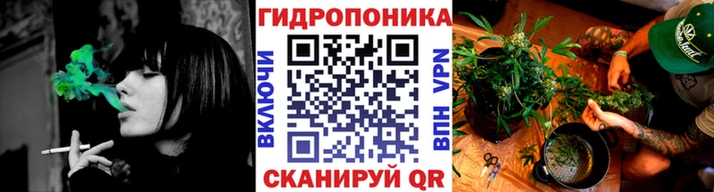 Купить закладки  Закаменск  Шишки марихуана VHQ 